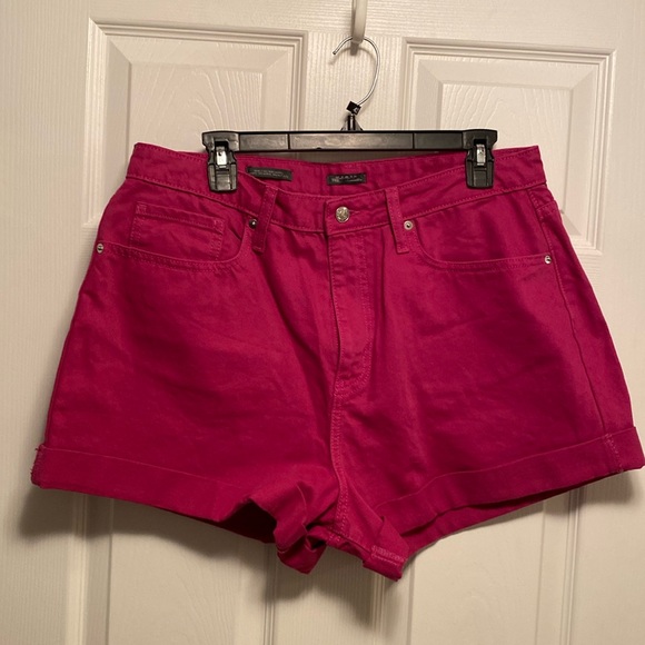 wild fable Pants - NWOT Wild Fable Highest Rise Mom Shorts…size 14